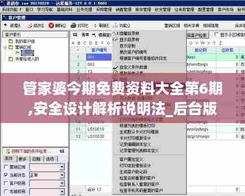 管家婆今期免费资料大全第6期,安全设计解析说明法_后台版HGP13.84