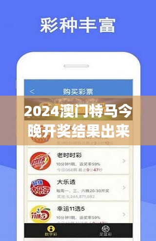 2024澳门特马今晚开奖结果出来,实地验证研究方案_明亮版OXB13.74