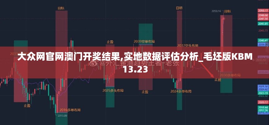 大众网官网澳门开奖结果,实地数据评估分析_毛坯版KBM13.23