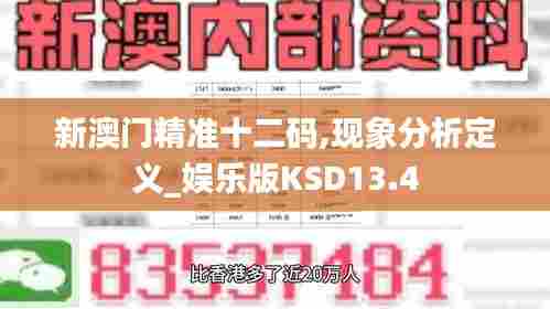 新澳门精准十二码,现象分析定义_娱乐版KSD13.4