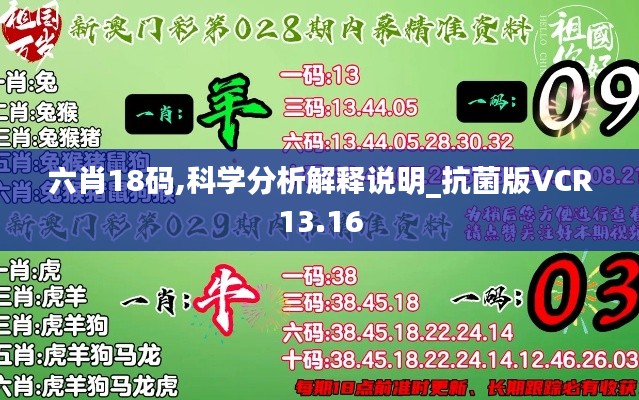 六肖18码,科学分析解释说明_抗菌版VCR13.16