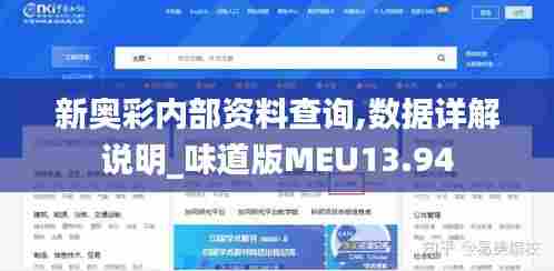 新奥彩内部资料查询,数据详解说明_味道版MEU13.94