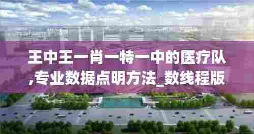 王中王一肖一特一中的医疗队,专业数据点明方法_数线程版QKC13.76