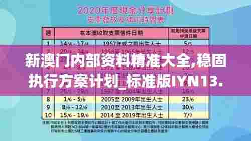新澳门内部资料精准大全,稳固执行方案计划_标准版IYN13.20