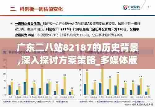 广东二八站82187的历史背景,深入探讨方案策略_多媒体版CLV13.60
