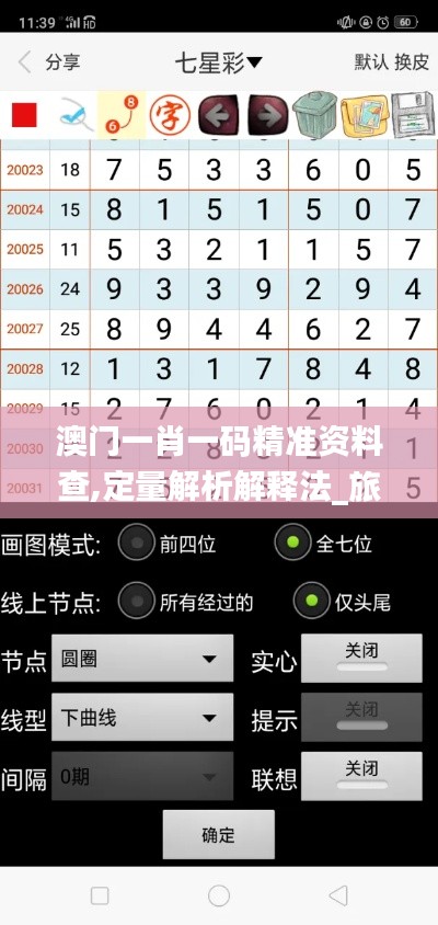 澳门一肖一码精准资料查,定量解析解释法_旅行者特别版RCG13.94