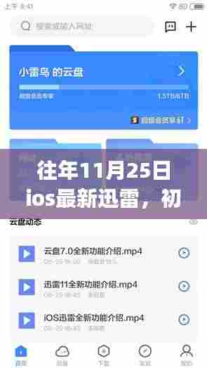 往年11月25日iOS最新迅雷使用指南,初学者与进阶用户全面解析下载与应用技巧