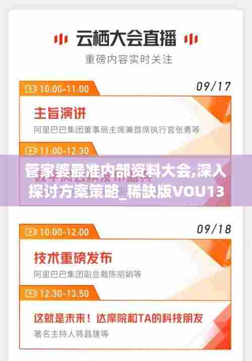 管家婆最准内部资料大会,深入探讨方案策略_稀缺版VOU13.86