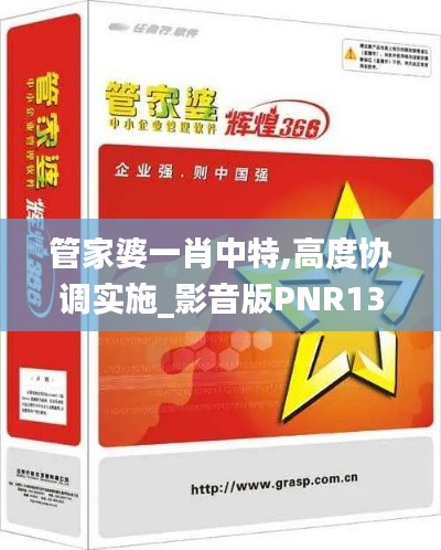 管家婆一肖中特,高度协调实施_影音版PNR13.83
