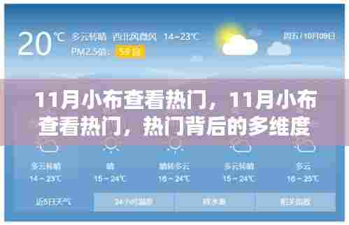11月小布查看热门，多维度探析及观点阐述
