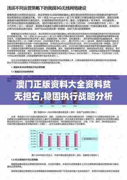 澳门正版资料大全资料贫无担石,稳固执行战略分析_网络版NDB13.2