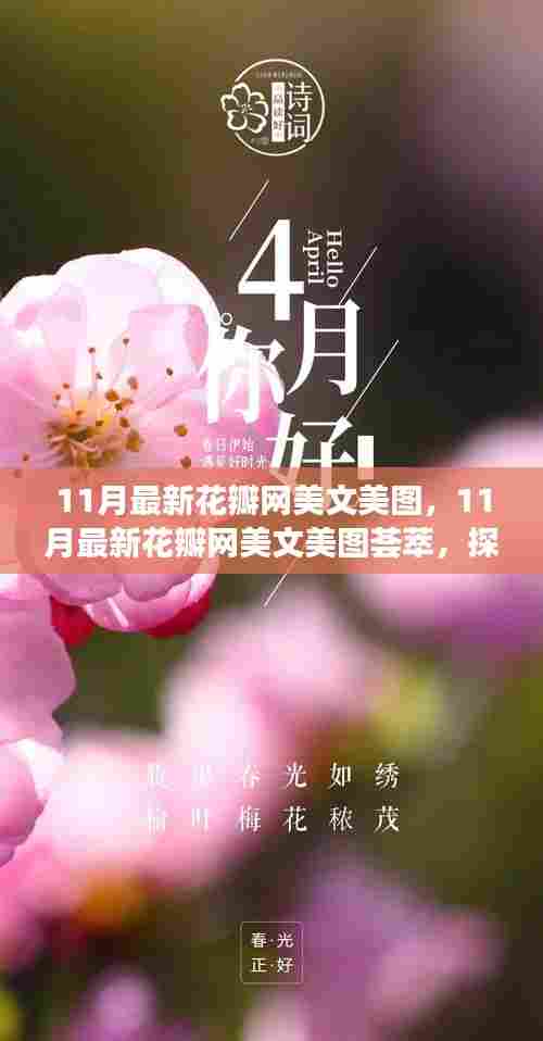 探索美文三大要点，最新花瓣网美文美图荟萃