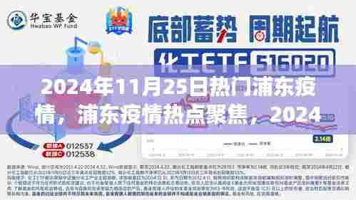 浦东疫情热点聚焦，2024年11月25日的观察与思考