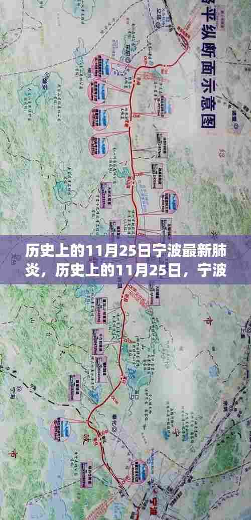 历史上的11月25日宁波最新肺炎，历史上的11月25日，宁波之旅，探寻自然美景，寻找内心平静的艺术