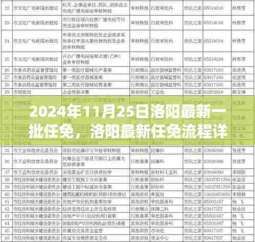 2024年洛阳最新一批任免详解，高效完成申请与任职手续（适用于初学者与进阶用户）