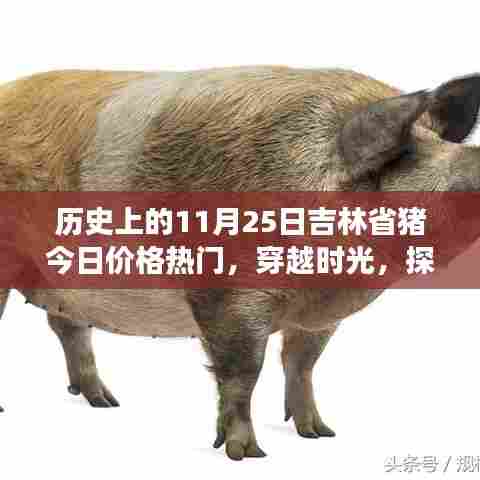 吉林猪价时光探寻之旅,穿越历史与美景的奇妙旅行