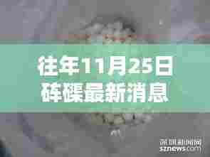 往年11月25日砗磲最新消息，砗磲风华录，十一月二十五日最新讯息与深远影响回顾