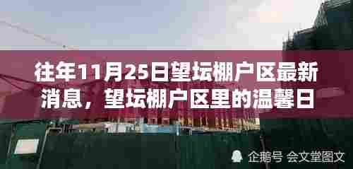 往年11月25日望坛棚户区最新动态，温馨日常的特别一天
