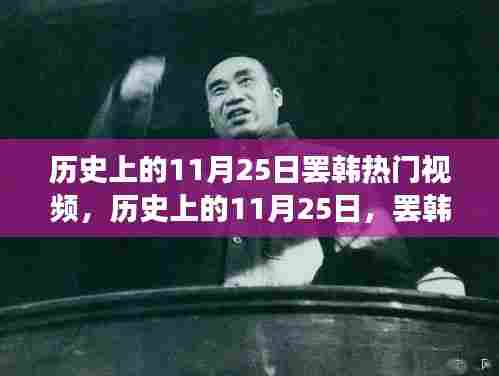 历史上的11月25日，罢韩事件背后的纷争与观点碰撞，热门视频揭秘真相