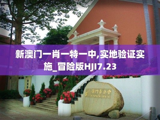 新澳门一肖一特一中,实地验证实施_冒险版HJI7.23