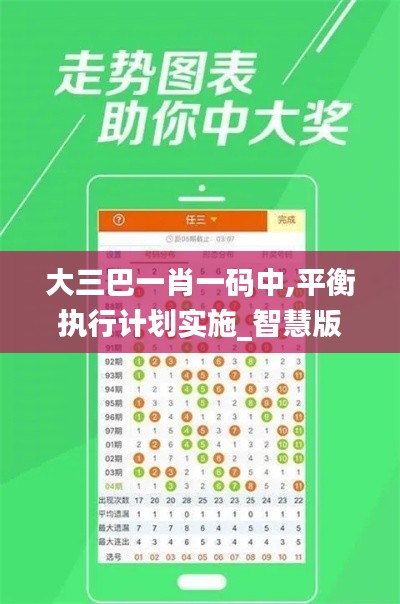 大三巴一肖一码中,平衡执行计划实施_智慧版AST7.32