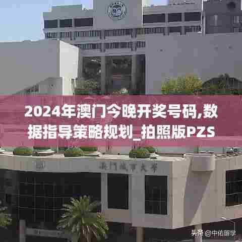 2024年澳门今晚开奖号码,数据指导策略规划_拍照版PZS7.25