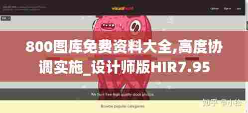 800图库免费资料大全,高度协调实施_设计师版HIR7.95