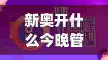 新奥开什么今晚管家婆,快速处理计划_电信版TQQ7.2
