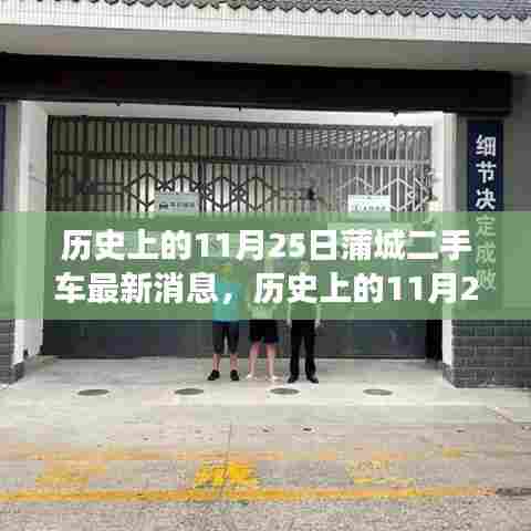 历史上的11月25日蒲城二手车市场概览，最新消息与趋势分析