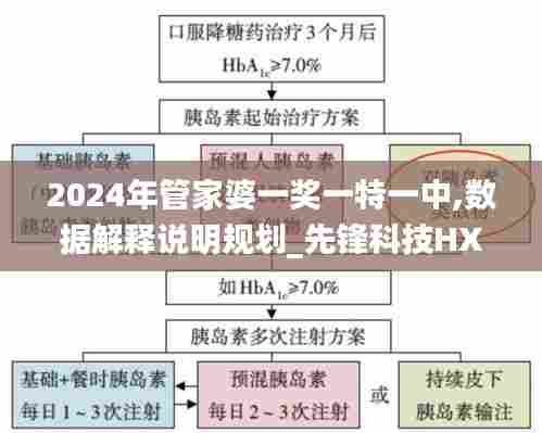 2024年管家婆一奖一特一中,数据解释说明规划_先锋科技HXY7.32