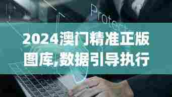 2024澳门精准正版图库,数据引导执行策略_月光版NBG7.21