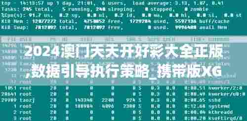 2024澳门天天开好彩大全正版,数据引导执行策略_携带版XGF7.27