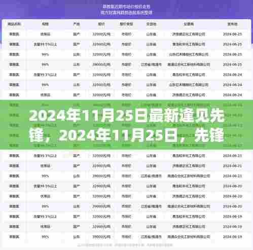 2024年11月25日最新逢见先锋，2024年11月25日，先锋科技的新里程碑