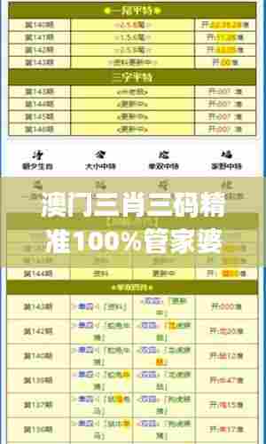 澳门三肖三码精准100%管家婆,高效计划实施_触感版BIU7.23