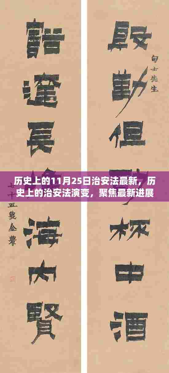 11月25日治安法的历史演变与最新进展解析，聚焦最新法规与要点聚焦解析