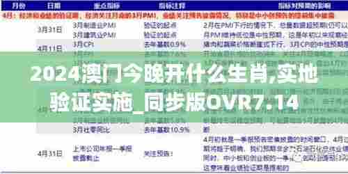 2024澳门今晚开什么生肖,实地验证实施_同步版OVR7.14