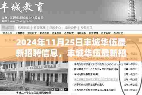 丰城华伍最新招聘信息获取全攻略（2024年11月版）
