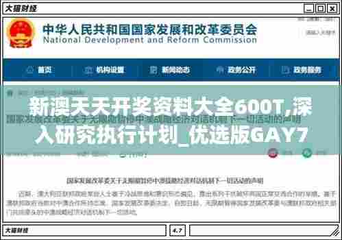 新澳天天开奖资料大全600T,深入研究执行计划_优选版GAY7.7