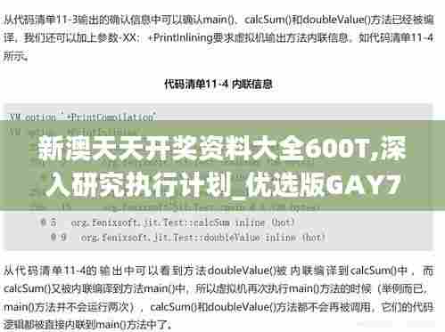 新澳天天开奖资料大全600T,深入研究执行计划_优选版GAY7.7
