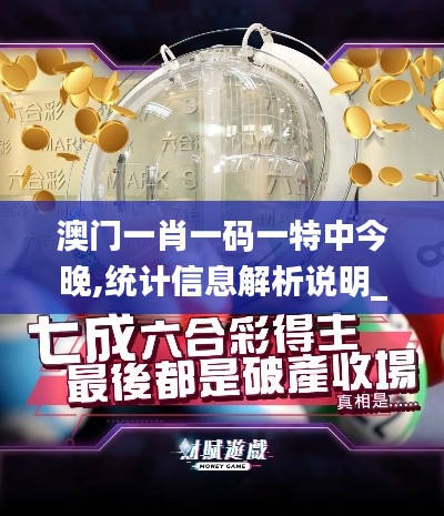 澳门一肖一码一特中今晚,统计信息解析说明_珍贵版SMM7.50