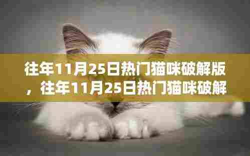 往年11月25日热门猫咪破解版，深度解析利弊与我的观点