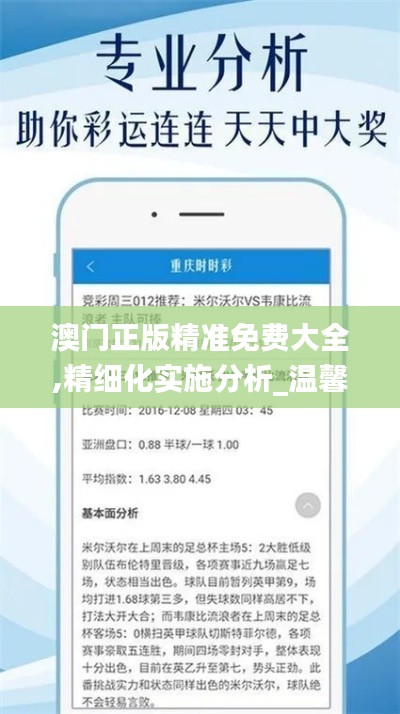 澳门正版精准免费大全,精细化实施分析_温馨版VZM7.35