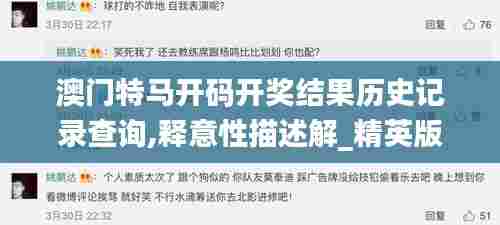 澳门特马开码开奖结果历史记录查询,释意性描述解_精英版XXJ7.20