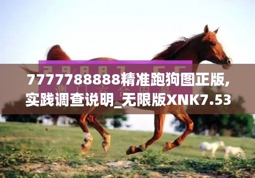 7777788888精准跑狗图正版,实践调查说明_无限版XNK7.53