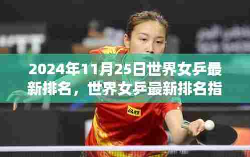 2024年11月25日世界女乒排名指南，如何查看与分析