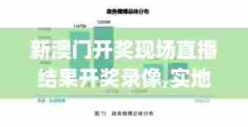 新澳门开奖现场直播结果开奖录像,实地观察解释定义_赋能版DCU7.31