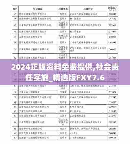 2024正版资料免费提供,社会责任实施_精选版FXY7.6