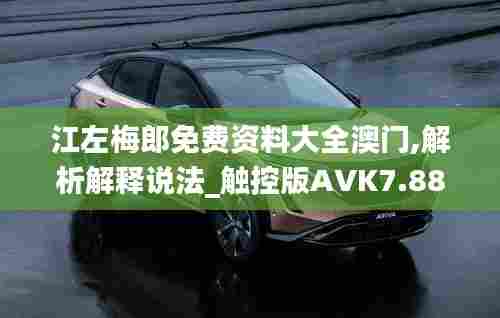 江左梅郎免费资料大全澳门,解析解释说法_触控版AVK7.88