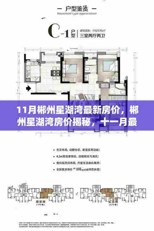 郴州星湖湾十一月最新房价动态及区域影响力深度解析