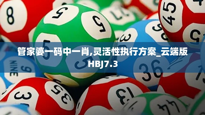 管家婆一码中一肖,灵活性执行方案_云端版HBJ7.3